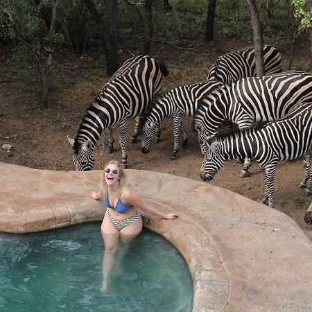 Kruger Park Hostel Marloth Park Zewnętrze zdjęcie