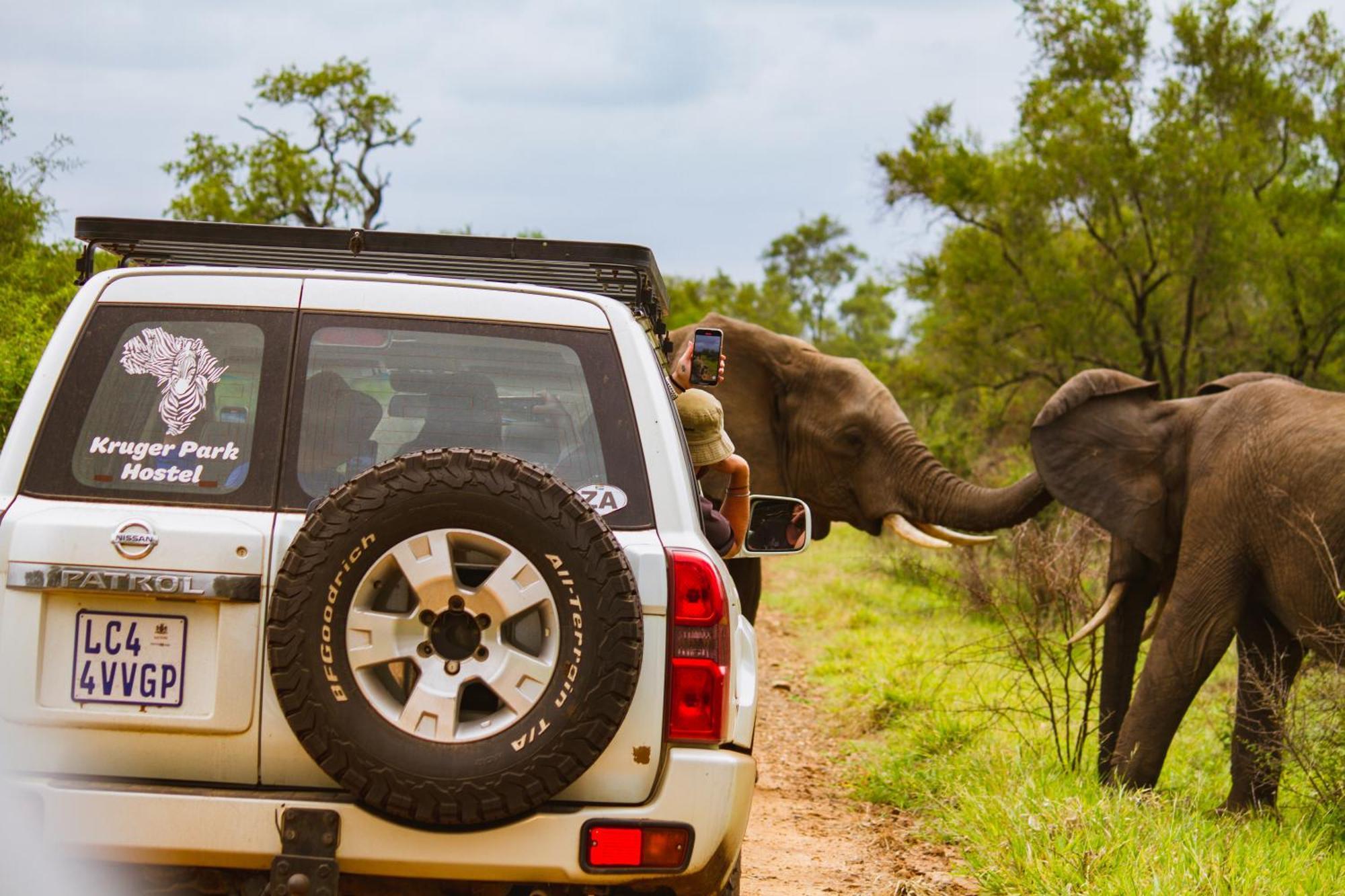 Kruger Park Hostel Marloth Park Zewnętrze zdjęcie