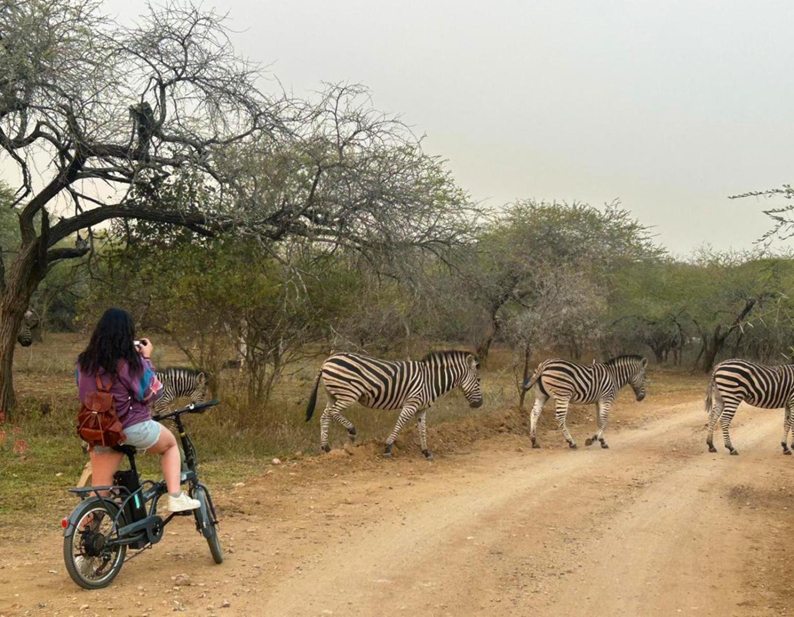 Kruger Park Hostel Marloth Park Zewnętrze zdjęcie